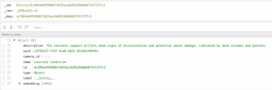 ArangoDB Document samples of Entities & Relationships extracted by the LLM through the VSS Pipeline