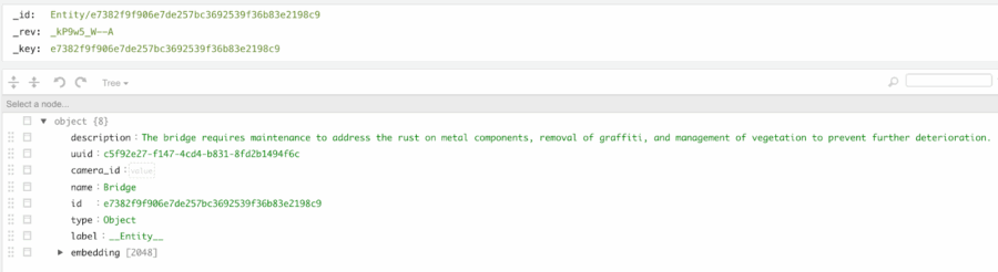 ArangoDB Document samples of Entities & Relationships extracted by the LLM through the VSS Pipeline